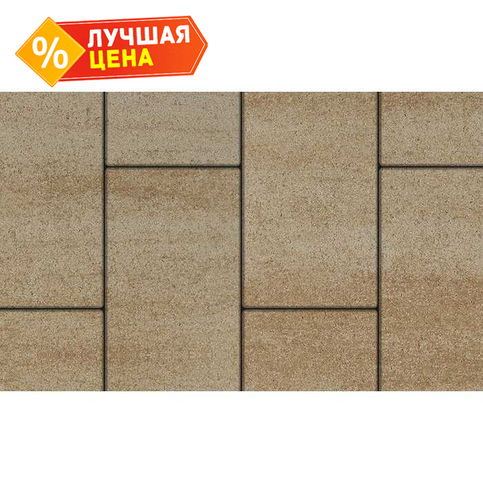 Плитка тротуарная Прямоугольник (Ла-Линия) В.5.П.10 Искусственный камень Степняк 600x300x100 мм